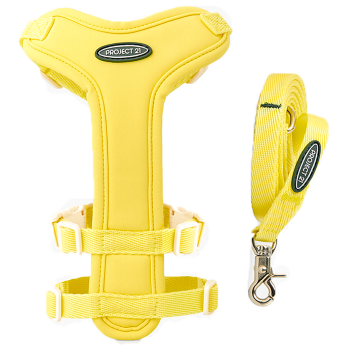 프로젝트21 강아지 하네스 + 리쉬 세트