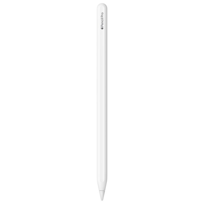 Apple 정품 애플펜슬 프로 Apple 정품 애플펜슬 프로