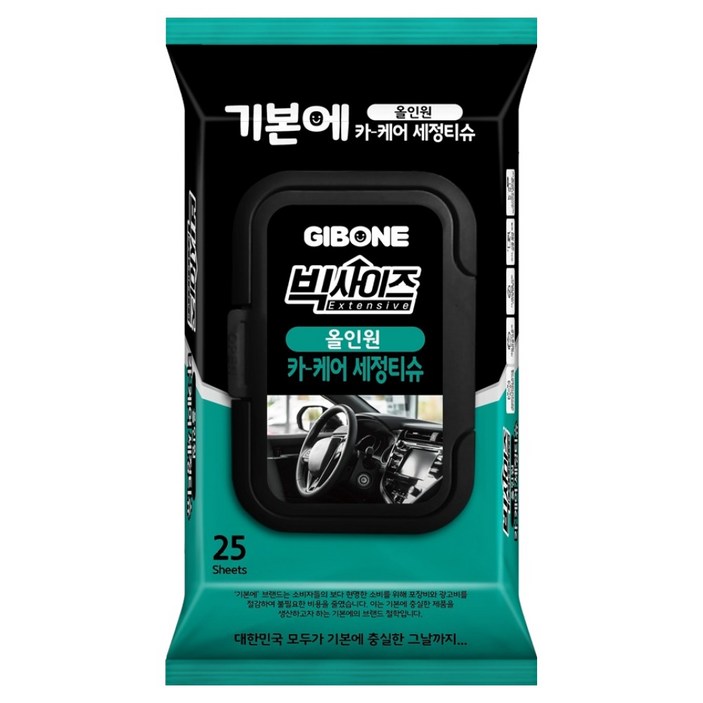 기본에 빅사이즈 올인원 카 케어 세정티슈