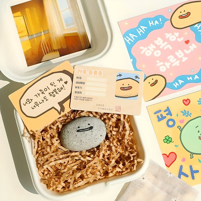 반려돌 키우기 애완돌 웃긴선물