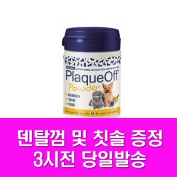 프로덴 플라그오프 도그앤 캣 40g, 구강치석관리, 1개