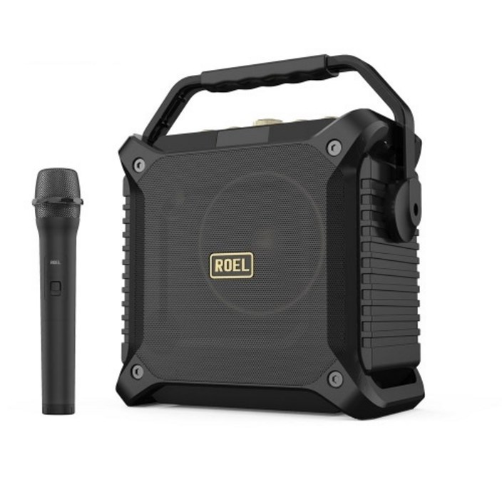 로엘 버스킹DJ 블루투스 우퍼 스피커 + 무선 마이크, BUSKING DJ, 혼합색상