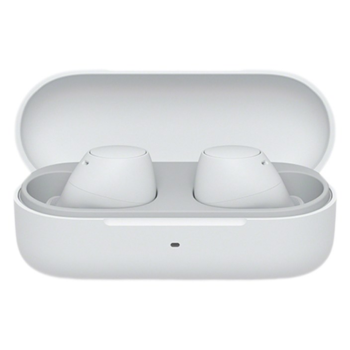 소니 커널형 무선 이어폰