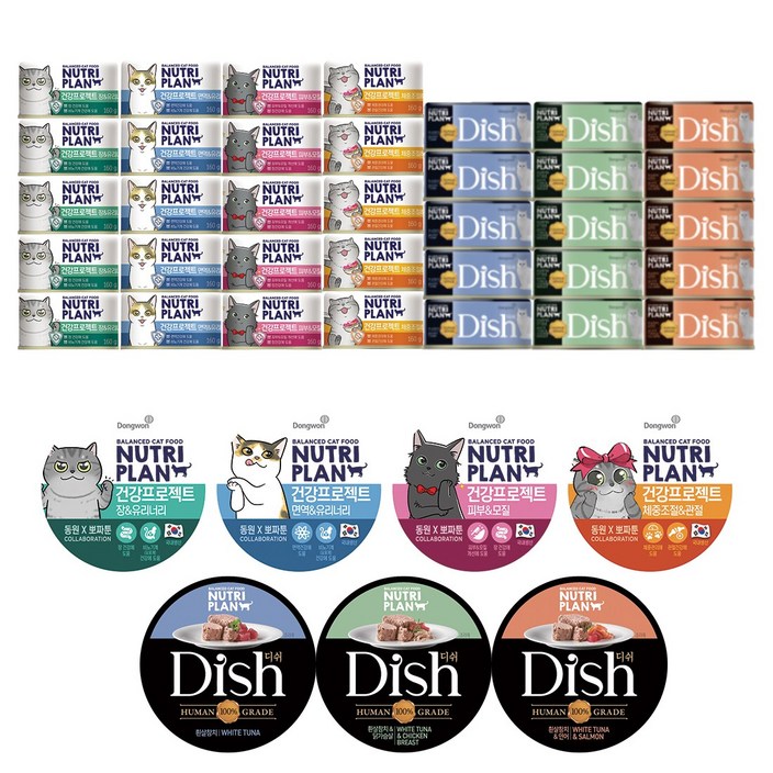 동원 뉴트리플랜 집사레시피 건강인기세트 42캔, 1세트, 5370g, 습식