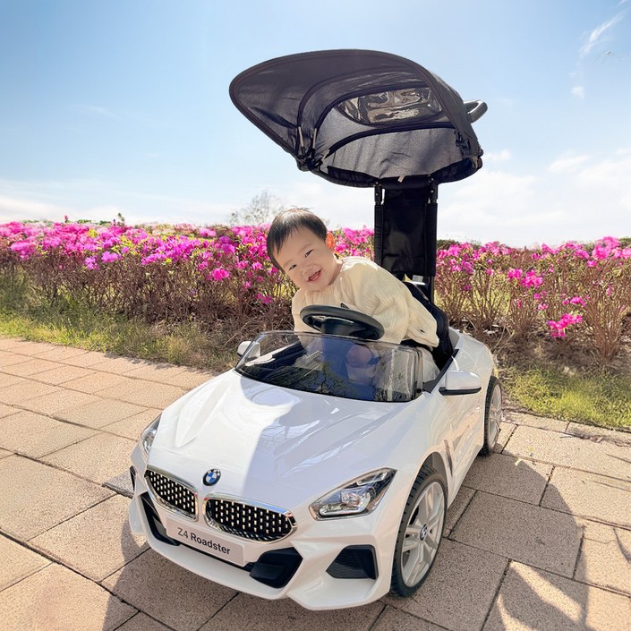 대호토이즈 BMW Z4 푸쉬카 플러스