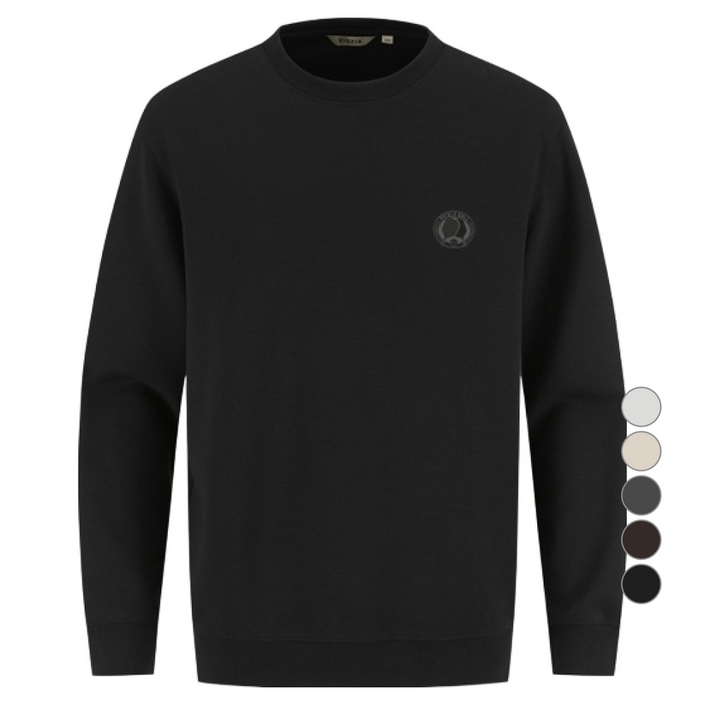 지오지아 남성용 더블니트 그래픽 맨투맨 AEF4TR1102