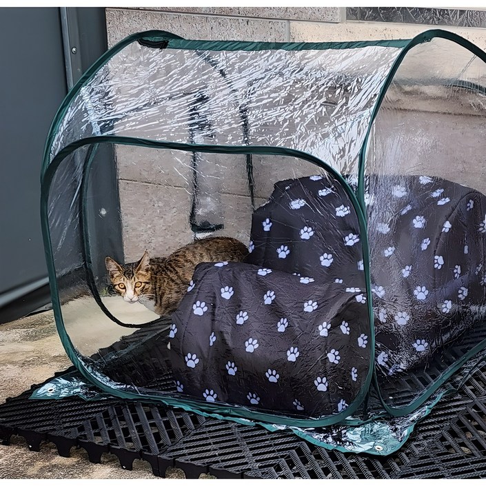 길고양이집 길냥이 급식소 겨울집 야외 실외 방수 방풍 비닐 텐트 하우스, 1개 길고양이집 길냥이 급식소 겨울집 야외 실외 방수 방풍 비닐 텐트 하우스, 1개