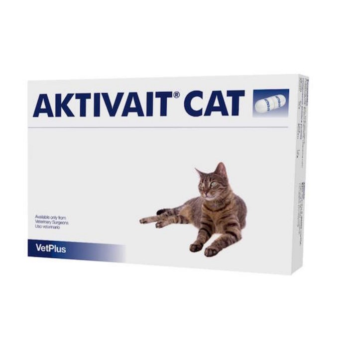 포베츠 액티베이트 캣AKTIVAIT CAT 60캡슐, 1개