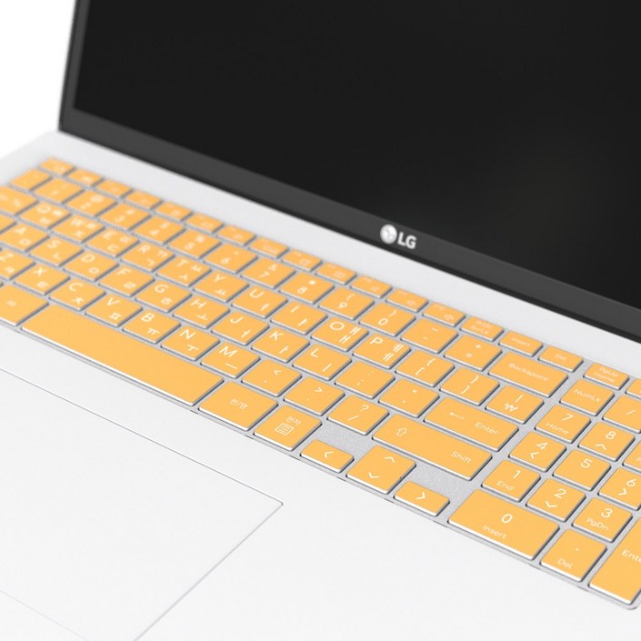 보이아 LG 그램 노트북 키스킨 키보드 커버 ZD90P Z90P ZD95P Z95P 16인치, 키스킨 민트, 1개