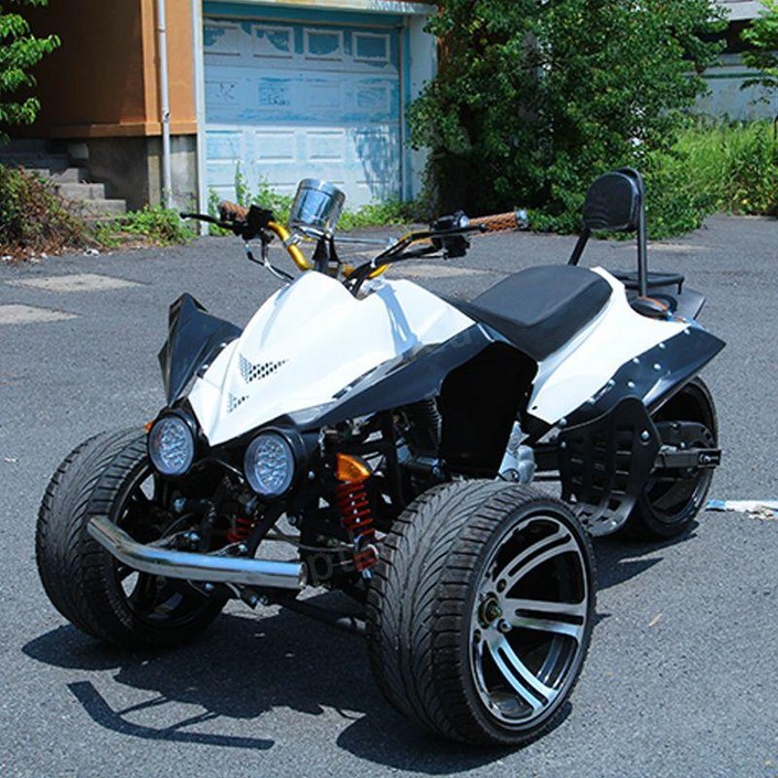 역삼륜 오토바이 전동차 스쿠터 바이크 농업용 3발