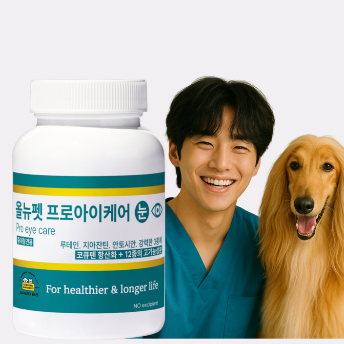 올뉴펫 프로아이케어 대형견눈영양제 60캡슐 중형견 강아지 백내장 백탁, 1개, 눈물개선눈건강, 60정