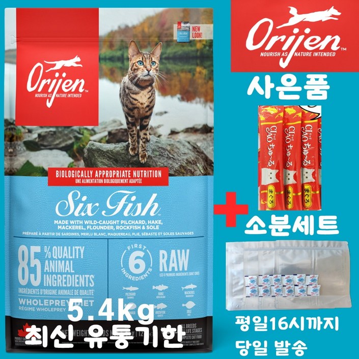 오리젠 6 식스 피쉬 캣 견성상사 단독 사은품 증정 판매자 확인필수