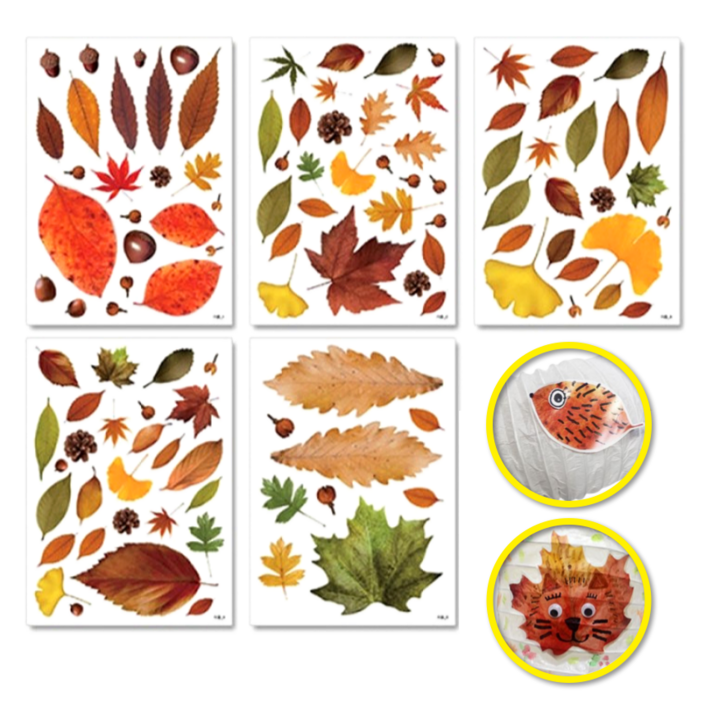 5장 가을 단풍 나뭇잎 스티커 만들기 방과후 재료 초등 낙엽 환경, 3세트, free