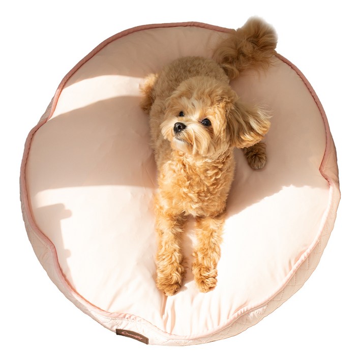 초코펫하우스 강아지 무중력 우주 방석 2