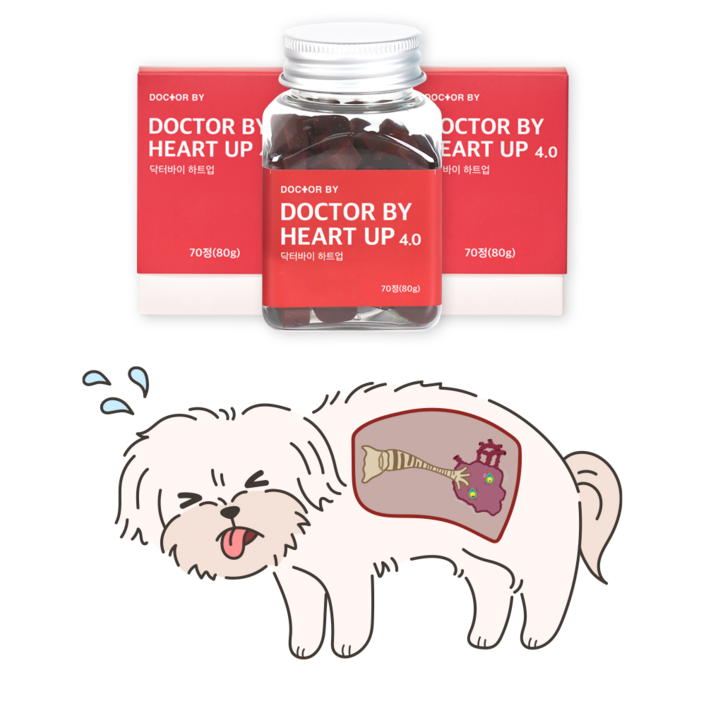 닥터바이 하트업 강아지 심장 영양제 헥헥거림 면역력 보조제