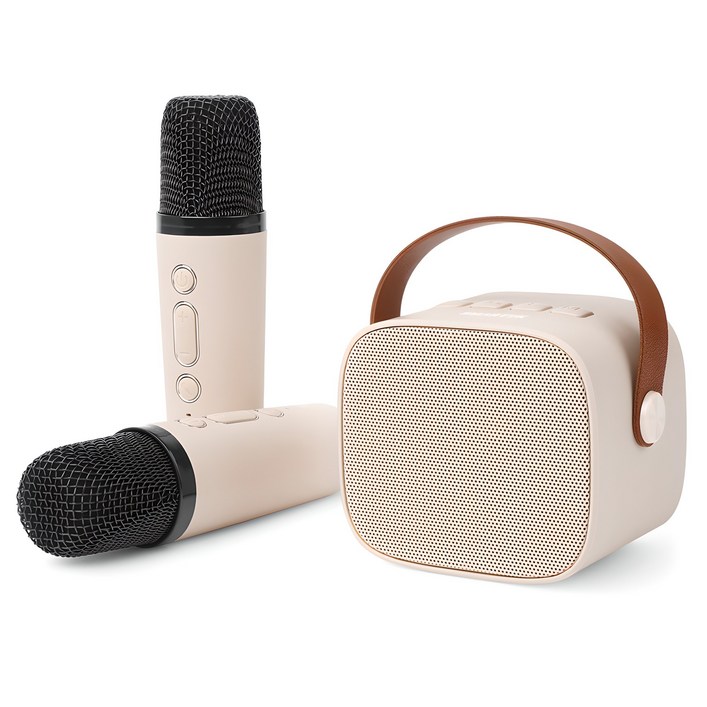 스마텍 무선 블루투스 듀얼 마이크  스피커