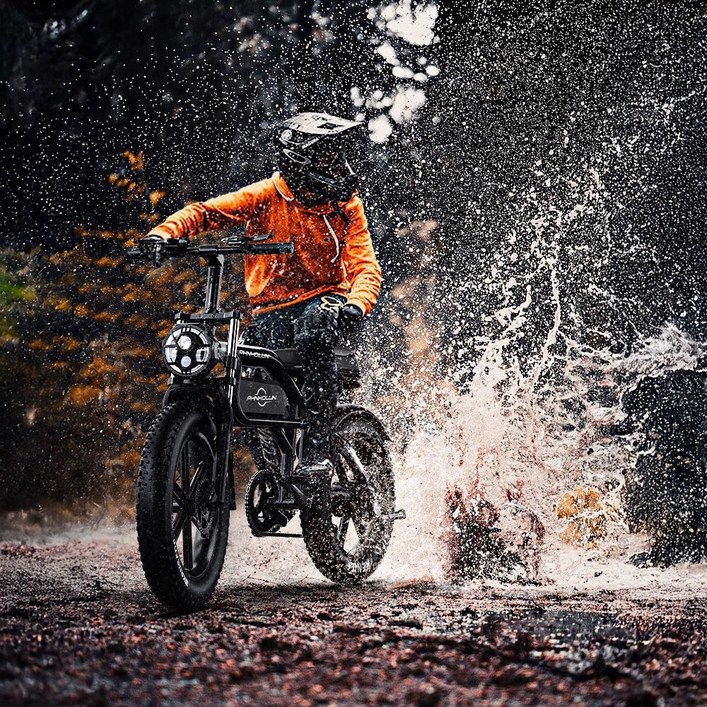 이트러스트 고출력 자토바이 전기자전거 20인치 팻바이크 오프로드 pas 출퇴근전기자전거 750w, 모스 딥 그린, 알루미늄 합금