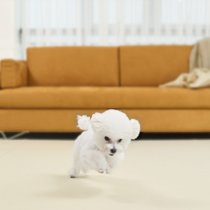 강아지 매트 미끄럼방지 피치트렌디 친환경 실리콘 논슬립 매트 애견 반려견 펫 롤매트, 1개, 아이보리