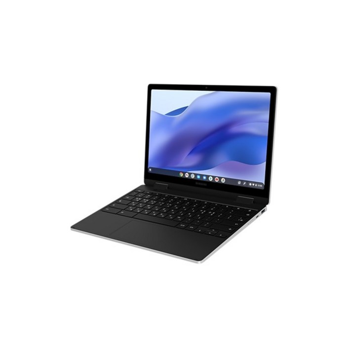 [삼성전자] 삼성 갤럭시 크롬북2 360 XQ520QEA-KG20G (셀러론N5100/4GB/64GB/ChromeOS)[실버/크롬북] [기본 제품]