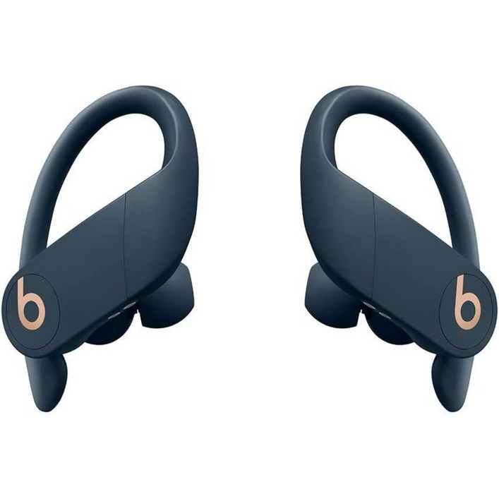 Beats by Dr. Dre Powerbeats Pro Wireless 이어버드