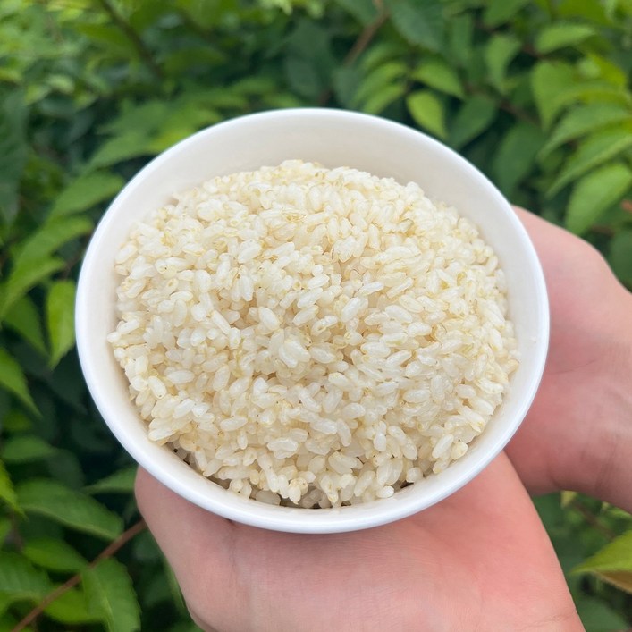 2025년산 쌀눈쌀 2kg 4kg 10kg 당일도정 7분도미 햅쌀, 10kg, 1개