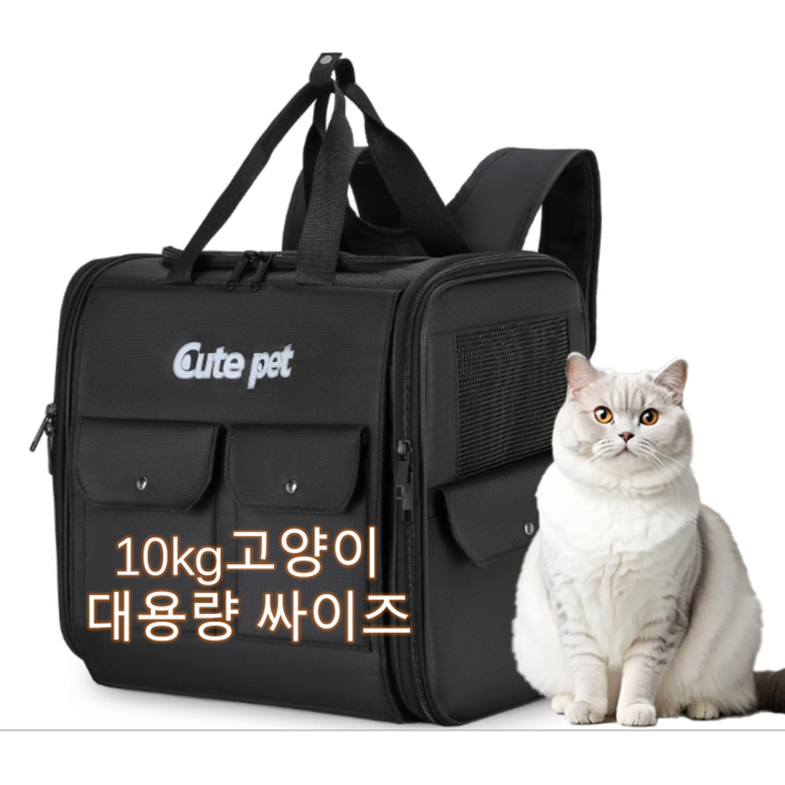 반려동물 이동장 백팩 접이식 고양이 강아지 백팩 해띠, 1개