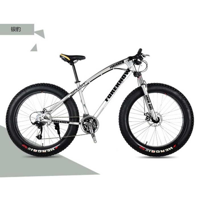 오프로드 광폭타이어 팻바이크 바퀴큰자전거 산악용 자전거 7단 화이트 MTB 20인치, 실버(스포크 휠)