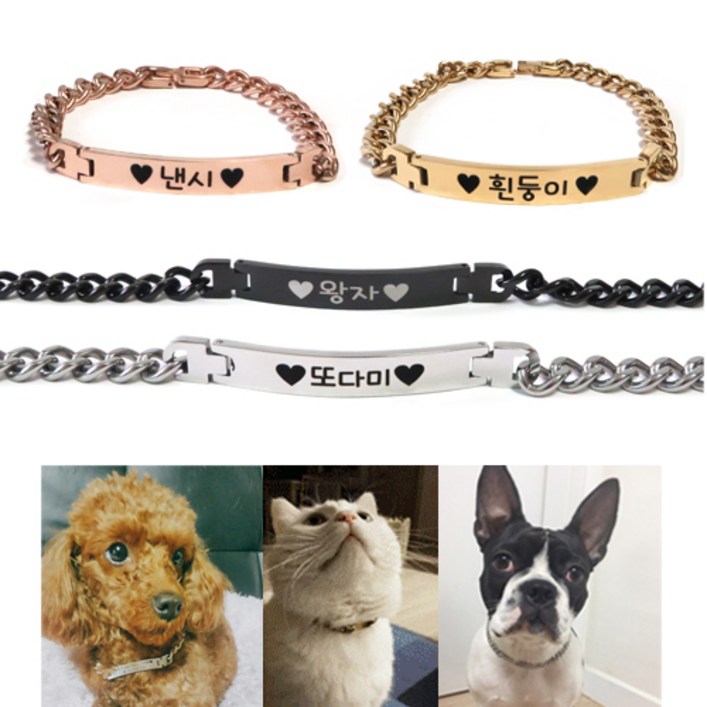 반려동물인식표 체인 강아지 고양이 목걸이, 골드 2635cm, 1개 반려동물인식표 체인 강아지 고양이 목걸이, 골드 2635cm, 1개