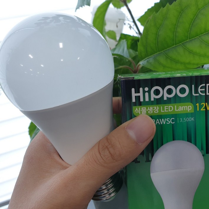 히포팜텍 식물생장LED 식물등 식물용 성장 생장 재배 전구 램프 AGF12BWSC, 1개 필립스스마트전구
