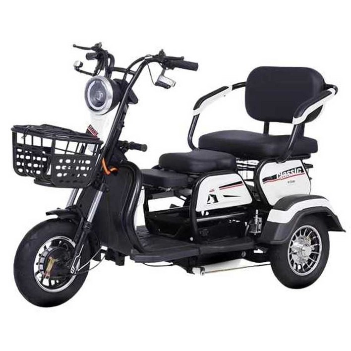 삼토바이 3륜 바이크 다인승 48V 3발 삼륜 오토바이