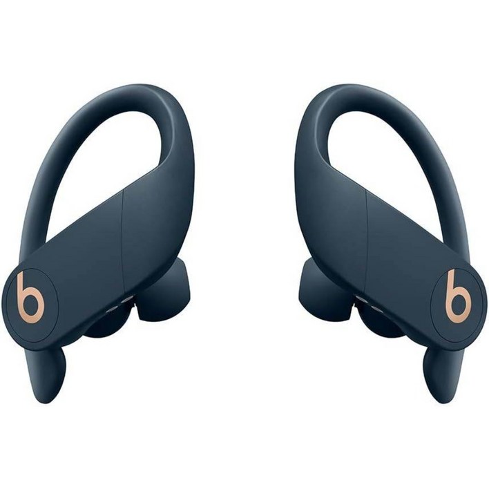 Beats by Dr. Dre Powerbeats Pro Wireless 이어버드