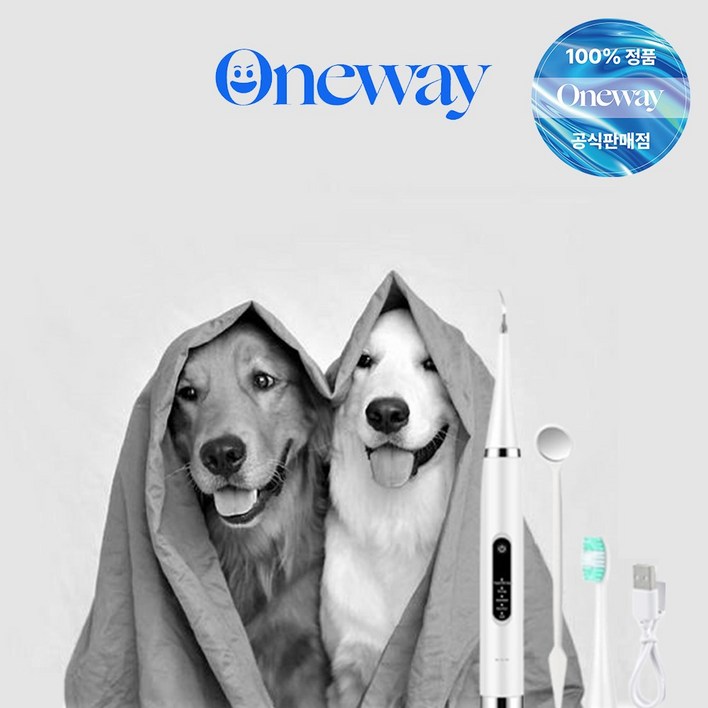 원웨이 애완용 치석제거기 애견 치석제거 반려동물용 V1 가정의달 부모님 가족 선물, 1개