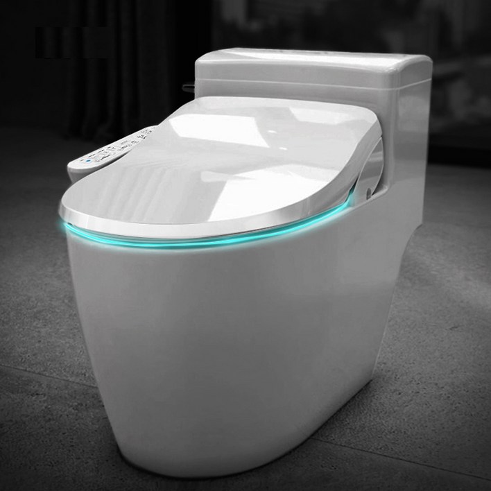 앤트 비데 최신형 IPX8 방수 직수 안심세척 하이브리드 필터필요없는 IPX750A, 자가설치, 고객직접설치