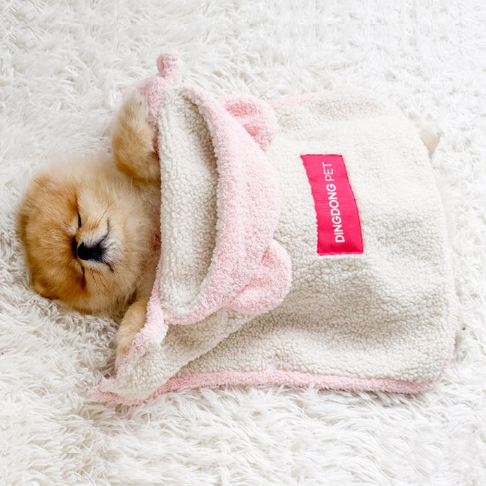 딩동펫 강아지 곰돌이 망토 담요