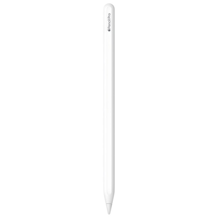 Apple 정품 애플펜슬 프로, 화이트, 1개