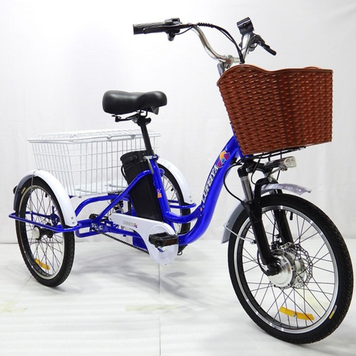 전기자전거  이중 충격 흡수 하이라이트 대용량 바구니 48v 12a 20 인치