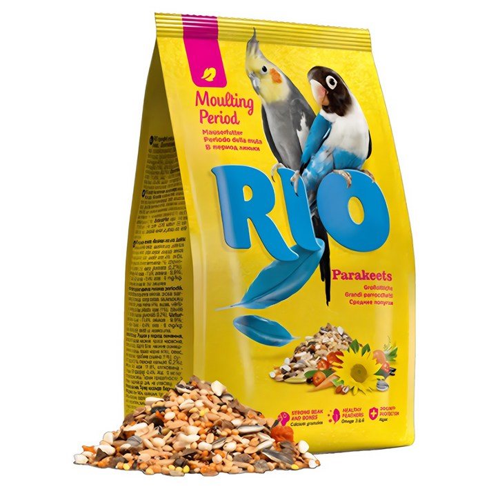 RIO 왕관 모란 코뉴어 깃털 영양 모이