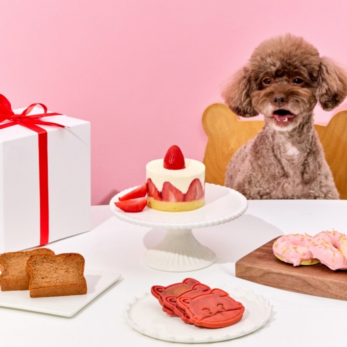 딸기 케이크 강아지생일 강아지 케이크 강아지용 딸기 케이크 애니콩, 1개