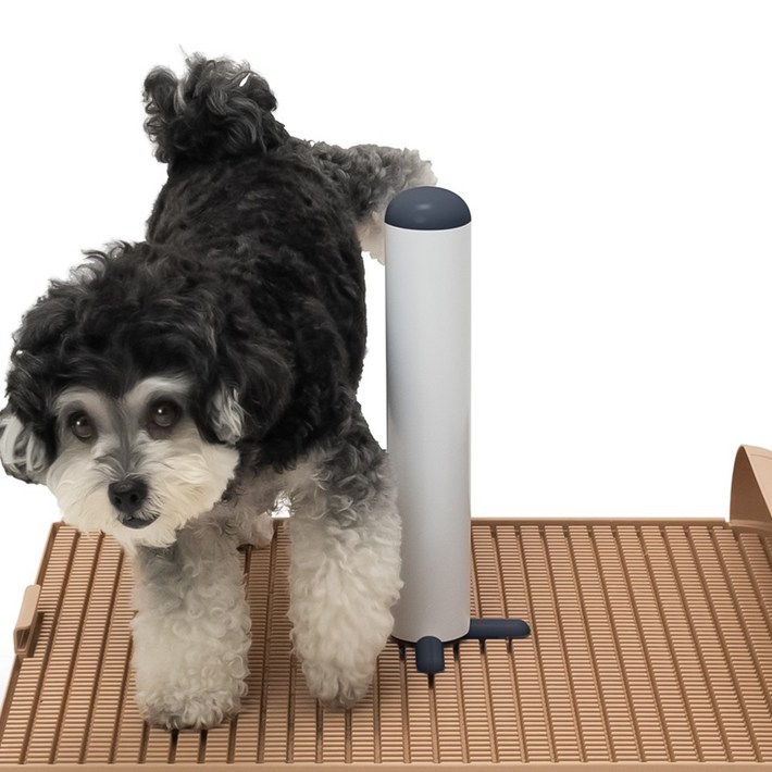 독톡 배변판 전용 봉봉이 수컷 강아지 마킹