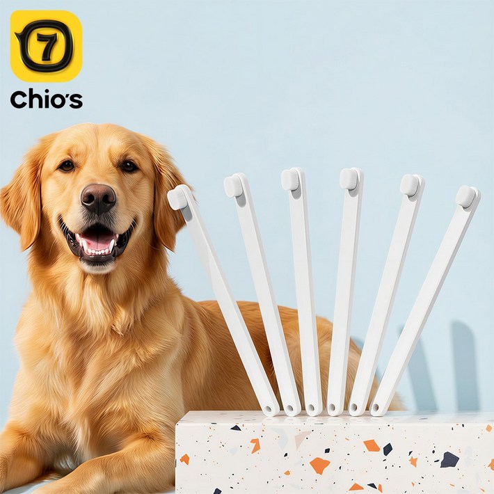 강아지 칫솔 고양이 칫솔 미세모 칫솔