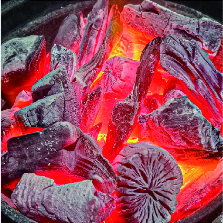 프리미엄 참숯 백탄 비장탄 비장참숯, 1개, 1kg