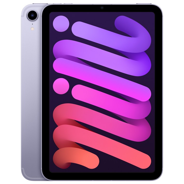 Apple 아이패드 mini