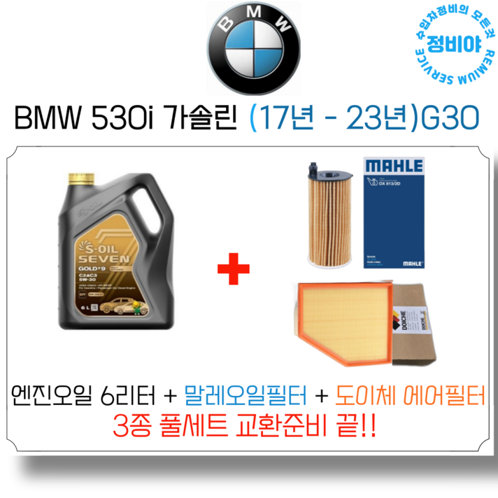 BMW 530i 가솔린 엔진오일 세트 17년  23년 G30 럭셔리M스포츠xDrive, 1개