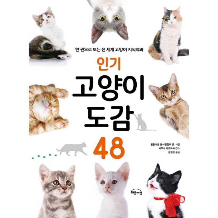 인기 고양이 도감 48:한 권으로 보는 전 세계 고양이 지식백과