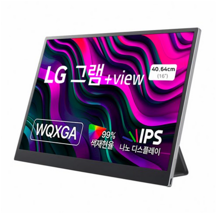 LG전자 WQXGA 그램 +View 모니터