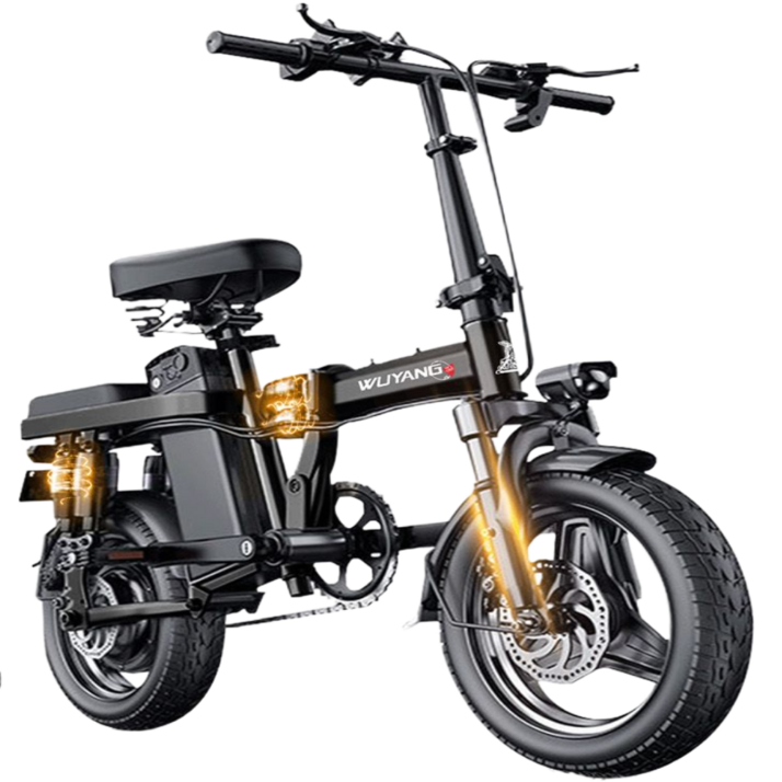 플렉시 접이식 전기자전거 자토바이 48V 고출력 파스 경량, 블랙, 경량스틸