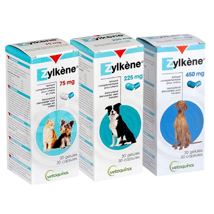 질켄 강아지 스트레스 해소 완화 영양제 소형견 중형견 대형견 베토퀴놀 반려동물