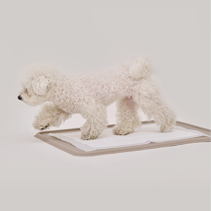 본사직영당일출고 강집사 실리콘 날개 배변매트 논슬립 화장실, 1개, 베이지