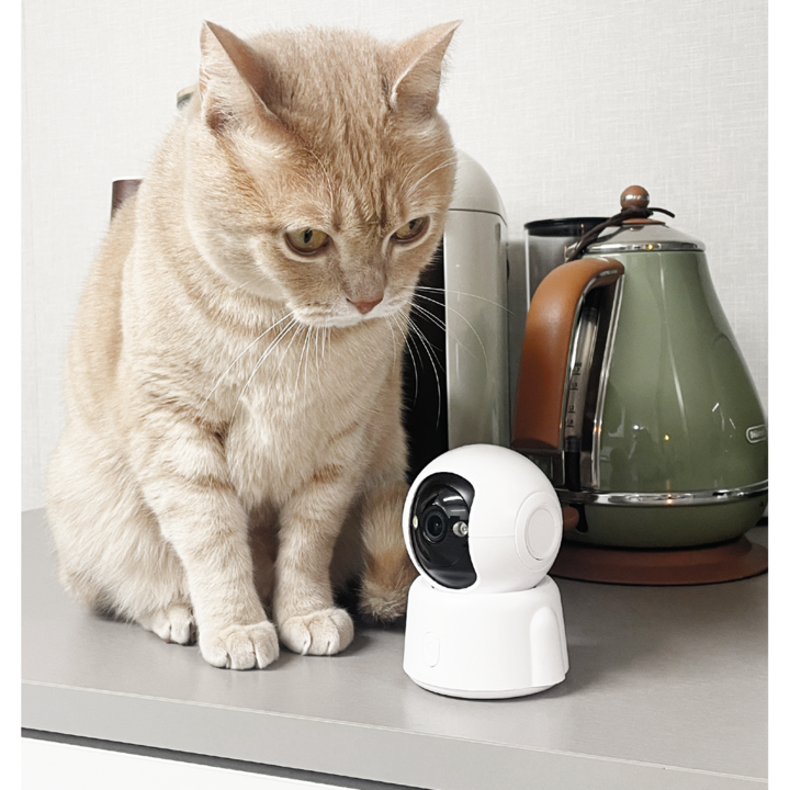 제이모티브 스마트 무선WIFI 실시간 300만화소 홈캠 CCTV 실내카메라 JMTHOMEDOME 제이모티브 스마트 무선WIFI 실시간 300만화소 홈캠 CCTV 실내카메라 JMTHOMEDOME