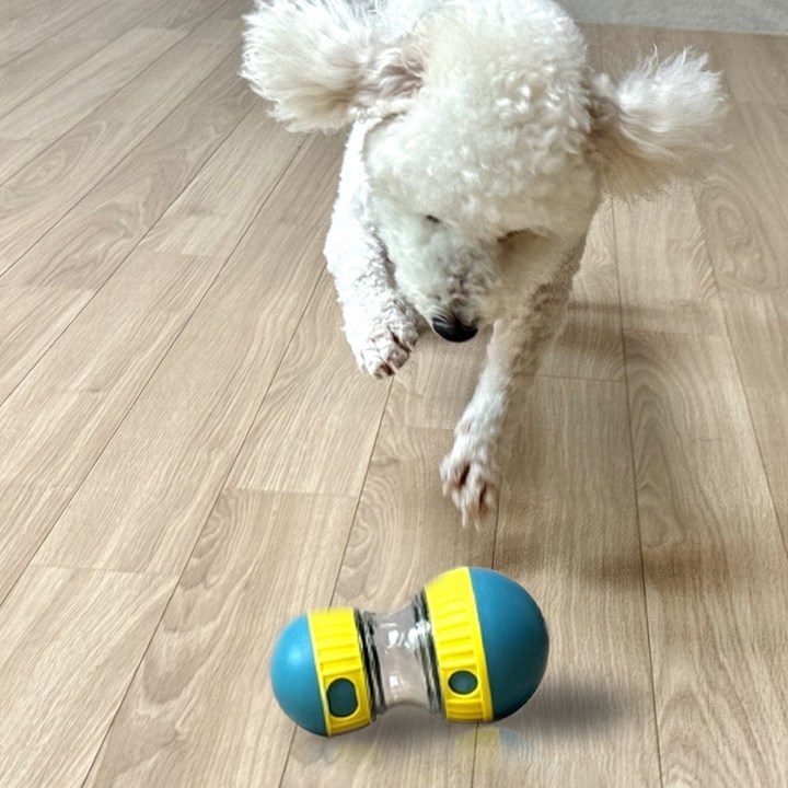 멍냥이노리터 강아지 킁킁볼 노즈워크 사료 간식 장난감 공, 1개, 블루옐로우 단일색상